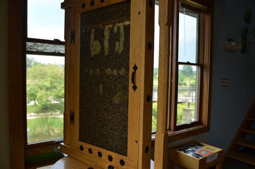 A wooden display case with a textured surface, showcasing natural materials, near a window with a view of greenery outside.