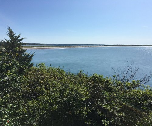 A serene coastal view with calm blue water, sandy shore, and greenery in the foreground under a clear blue sky.