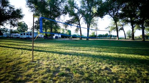 A volleyball net set up in a grassy area surrounded by trees and parked vehicles in the background.