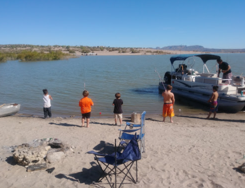 Children fishing by a sandy shore, with a boat approaching on a calm lake under a clear blue sky.