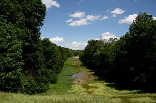 A lush green landscape with a wide, grassy area and a small pond, under a bright blue sky with fluffy clouds.