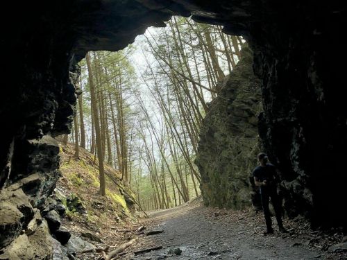 A person stands at the entrance of a rocky cave, surrounded by tall trees and a winding path leading into the forest.