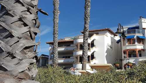 A view of a building with balconies, framed by palm trees against a clear blue sky.