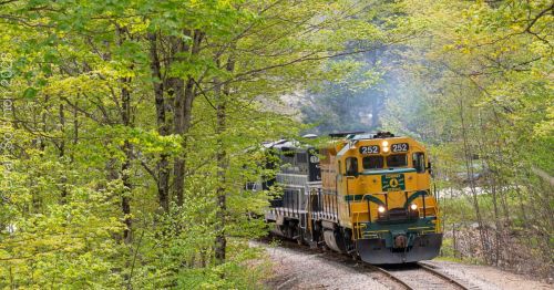 A colorful train travels along a winding track surrounded by lush green trees in a scenic landscape.