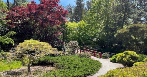 A serene garden scene featuring lush greenery, colorful trees, and a red bridge over a winding path.