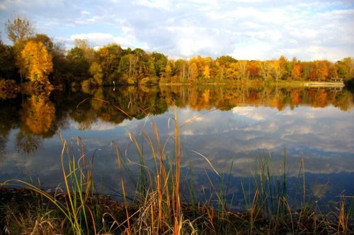 A serene lake reflecting colorful autumn trees and a cloudy sky, surrounded by tall grasses.