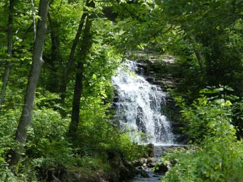 A serene waterfall cascading through lush green trees and foliage in a tranquil forest setting.