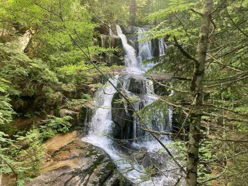 A serene waterfall cascading over rocks, surrounded by lush green foliage and trees in a tranquil forest setting.