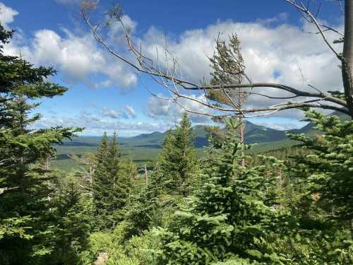 A scenic view of lush green trees and distant mountains under a blue sky with fluffy clouds.