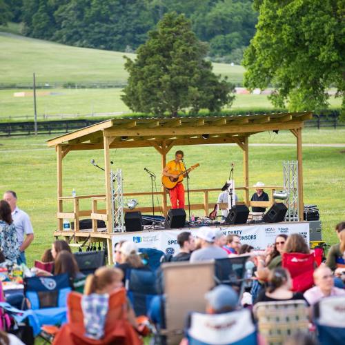A musician performs on a wooden stage in a grassy field, surrounded by an audience seated on blankets and chairs.