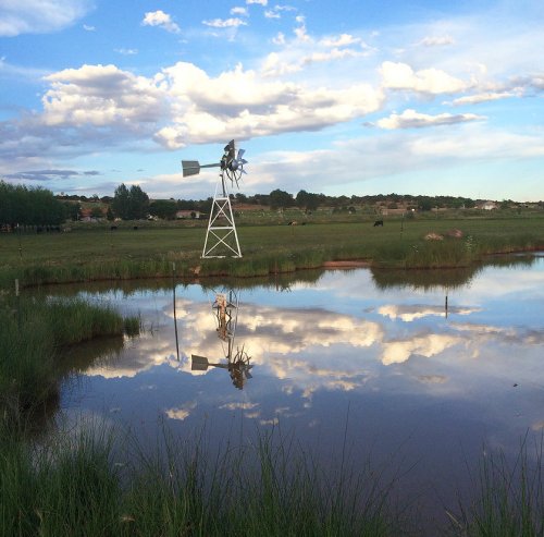 A windmill stands by a pond, reflecting clouds and greenery under a blue sky.