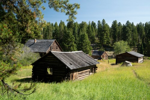A serene landscape featuring rustic log cabins surrounded by tall green grass and dense pine trees under a clear blue sky.