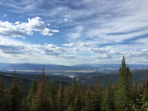 A scenic view of mountains and valleys under a partly cloudy sky, with dense evergreen trees in the foreground.