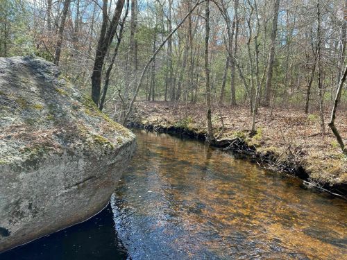 A serene stream flows beside a large rock, surrounded by trees and greenery on a sunny day.
