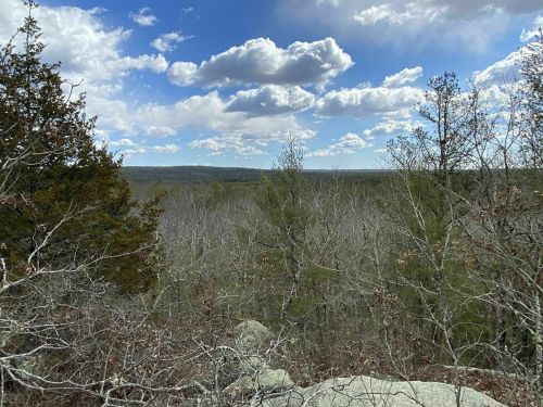 A scenic view of a forested landscape with trees and clouds under a blue sky.