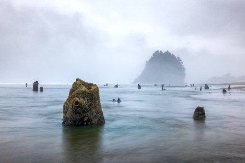 Foggy coastal scene with rocky formations emerging from calm water and a distant island in the background.