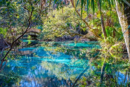 A serene blue spring surrounded by lush greenery and a wooden bridge reflecting in the water.