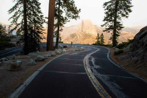 A winding road through a forest with tall trees, leading to a mountain peak in the distance during sunset.