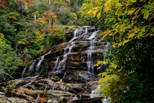 A serene waterfall cascades over rocks, surrounded by vibrant autumn foliage in a lush forest.