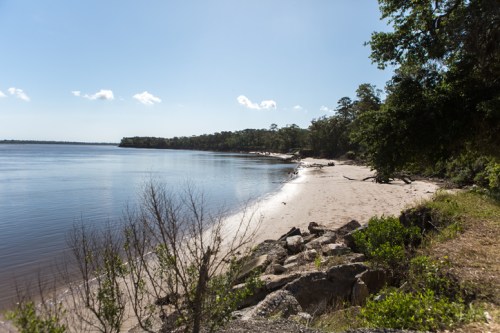 A serene beach scene with calm water, sandy shore, and trees lining the coast under a clear blue sky.