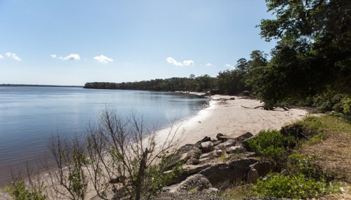 A serene riverbank scene with sandy shore, calm water, and trees under a clear blue sky.