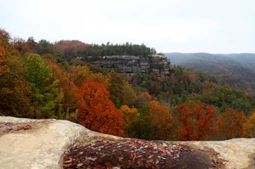 A scenic view of a rocky cliff surrounded by vibrant autumn foliage in various shades of orange and green.