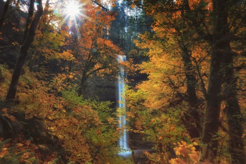 A serene waterfall cascades through vibrant autumn foliage, illuminated by sunlight filtering through the trees.