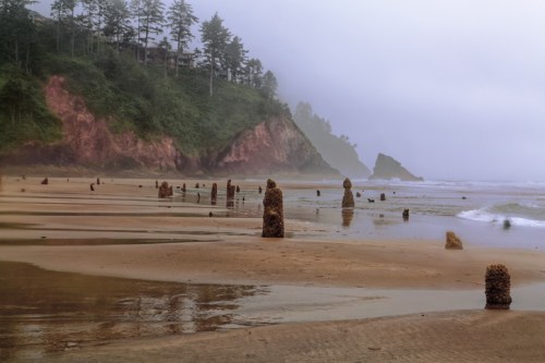 Foggy beach scene with weathered wooden posts emerging from the sand, surrounded by cliffs and gentle ocean waves.