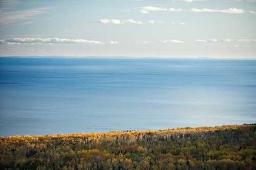 A serene view of a calm lake bordered by colorful autumn trees under a clear sky.