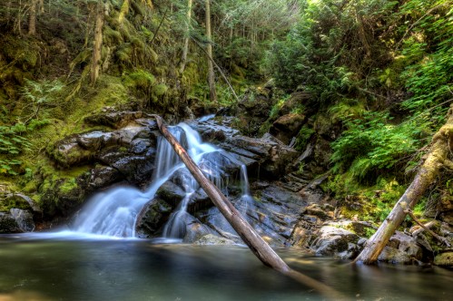 A serene waterfall cascades over rocks, surrounded by lush greenery and fallen logs in a tranquil forest setting.
