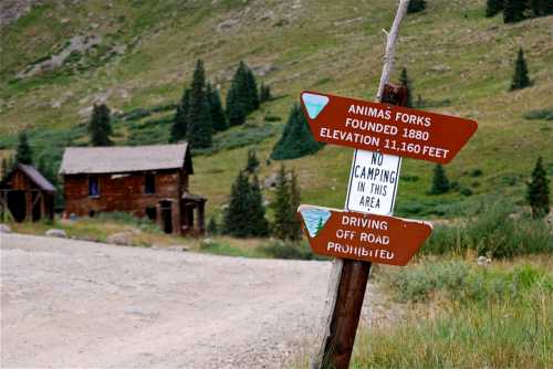 A wooden signpost at Animas Forks, with directions and a "No Camping" notice, near an old cabin in a mountainous area.