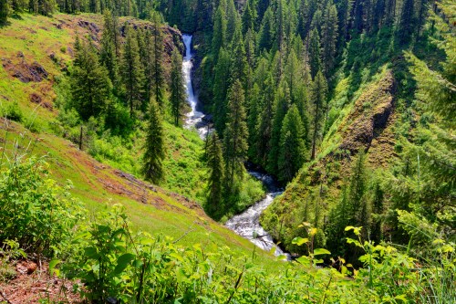 A lush green landscape with a waterfall cascading down a rocky cliff, surrounded by tall pine trees and a flowing river.