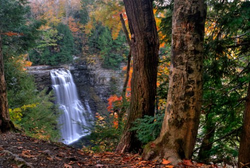 A serene waterfall cascades through vibrant autumn foliage, framed by tall trees in a peaceful forest setting.