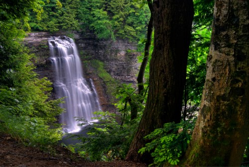 A serene waterfall cascades down rocky cliffs, surrounded by lush green trees and foliage.