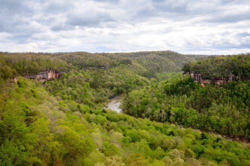 A lush green valley surrounded by hills under a cloudy sky, with a winding river flowing through the landscape.