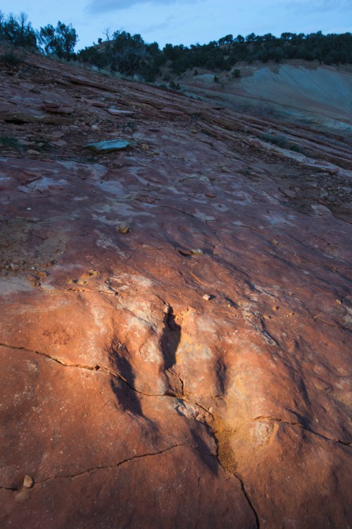 A close-up of textured rock surface illuminated by soft light, showcasing natural patterns and colors.