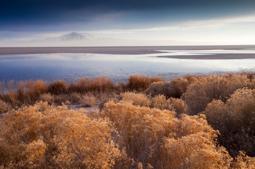 A serene landscape featuring a reflective body of water, dry grasses, and distant mountains under a moody sky.