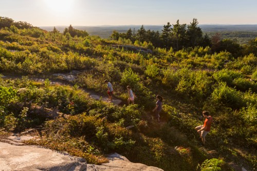 Four people hiking on a rocky trail surrounded by lush greenery and a scenic view under a bright sunset.