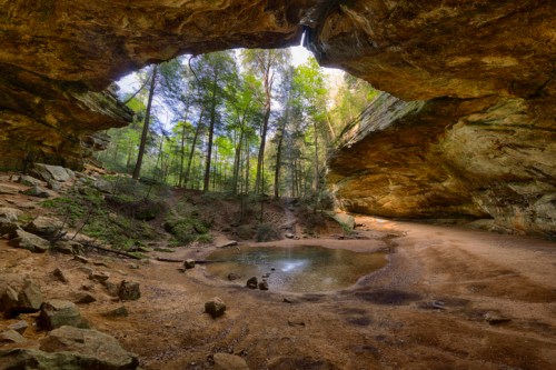 A serene cave opening surrounded by lush trees and a small pool of water on the forest floor.