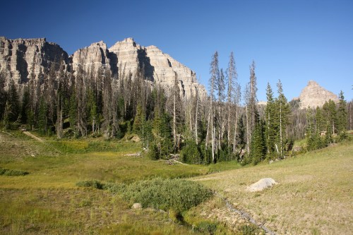 A scenic landscape featuring rugged mountains, tall trees, and a grassy meadow under a clear blue sky.