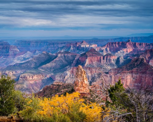 A scenic view of the Grand Canyon with colorful rock formations and autumn foliage in the foreground.