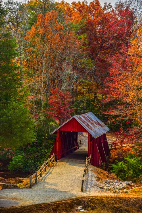 A red covered bridge spans a path surrounded by vibrant autumn foliage in a serene forest setting.