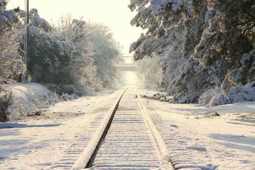 Snow-covered railway tracks stretch into the distance, flanked by trees blanketed in white, under a soft winter light.
