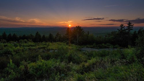 A serene sunset over a lush green landscape, with trees silhouetted against the colorful sky.