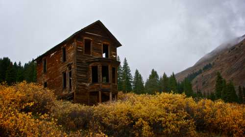 Abandoned wooden house surrounded by autumn foliage and pine trees, set against a cloudy mountain backdrop.