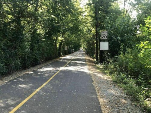 A tree-lined path with a speed limit sign, inviting for walking or biking.