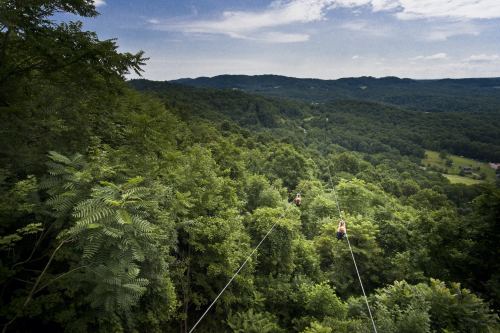 Aerial view of zipliners gliding over lush green trees and rolling hills under a blue sky.