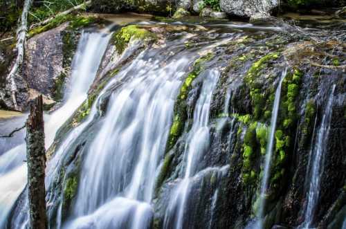 A serene waterfall cascades over moss-covered rocks, surrounded by lush greenery and a tranquil stream.