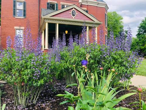 A historic red brick building with purple flowers in the foreground and a cloudy sky above.
