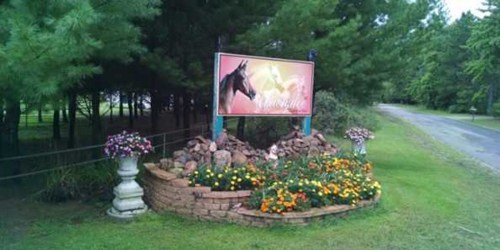 A colorful sign featuring a horse, surrounded by flowers and rocks, set in a green landscape with trees.